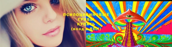 2c-b Покачи