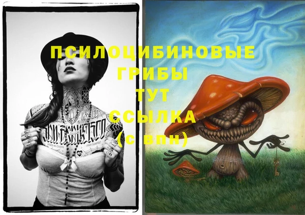 гидропоника Абаза