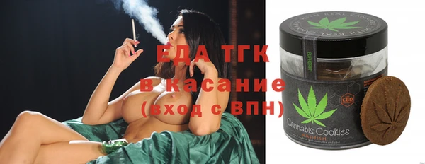 ГАЛЛЮЦИНОГЕННЫЕ ГРИБЫ Козловка