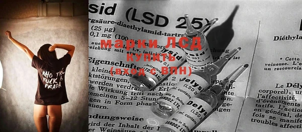 индика Покров