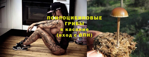 гидропоника Абаза